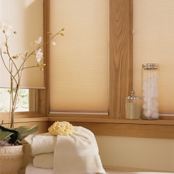 Standard Top Down Bottom Up Single Cell Light Filtering Shades