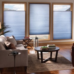 Top Down Bottom Up Cellular Shades